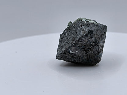 Magnetite crystal, Kovdor, Russia (179)