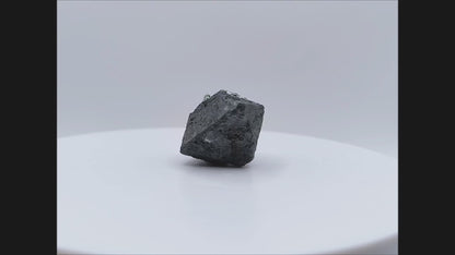 Magnetite crystal, Kovdor, Russia (179)