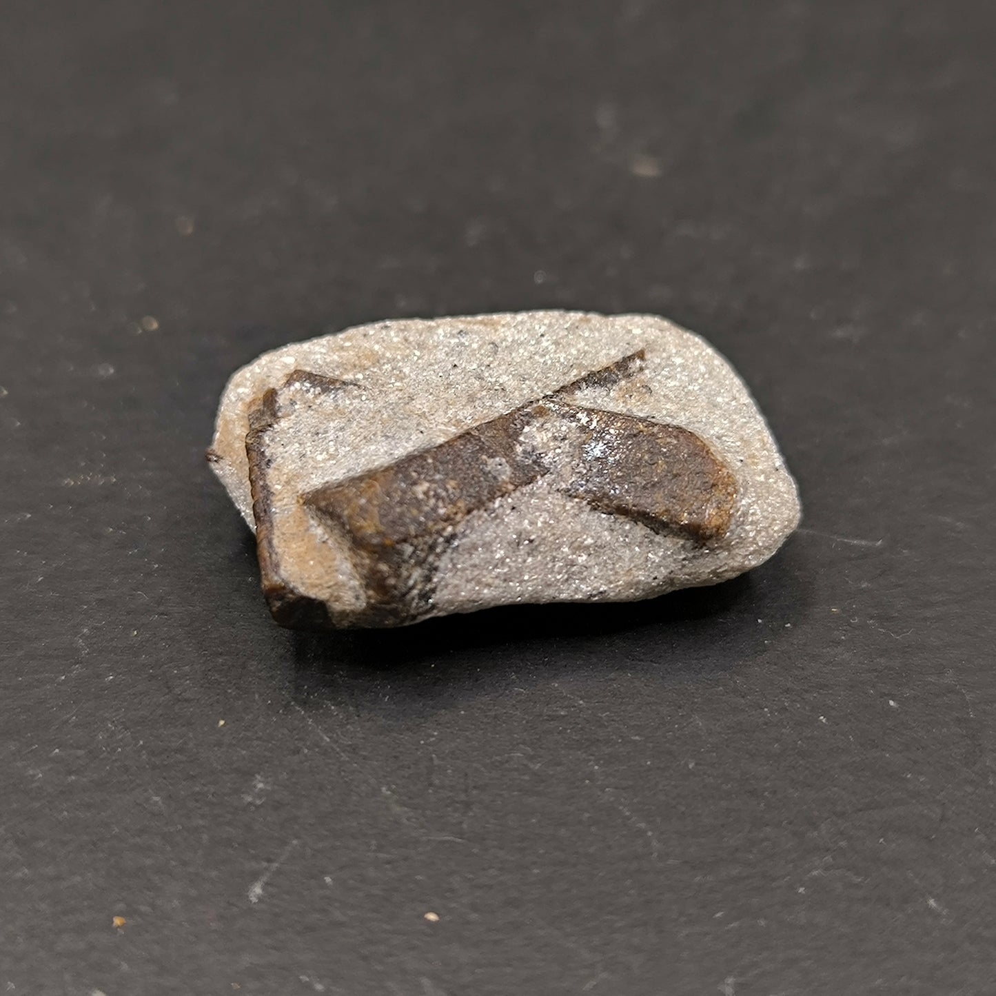 Staurolite  twins specimen from Russia (210)