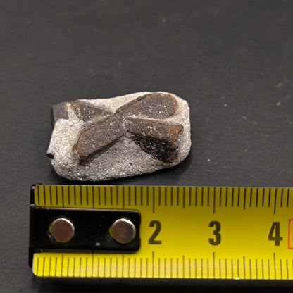 Staurolite  twins specimen from Russia (210)